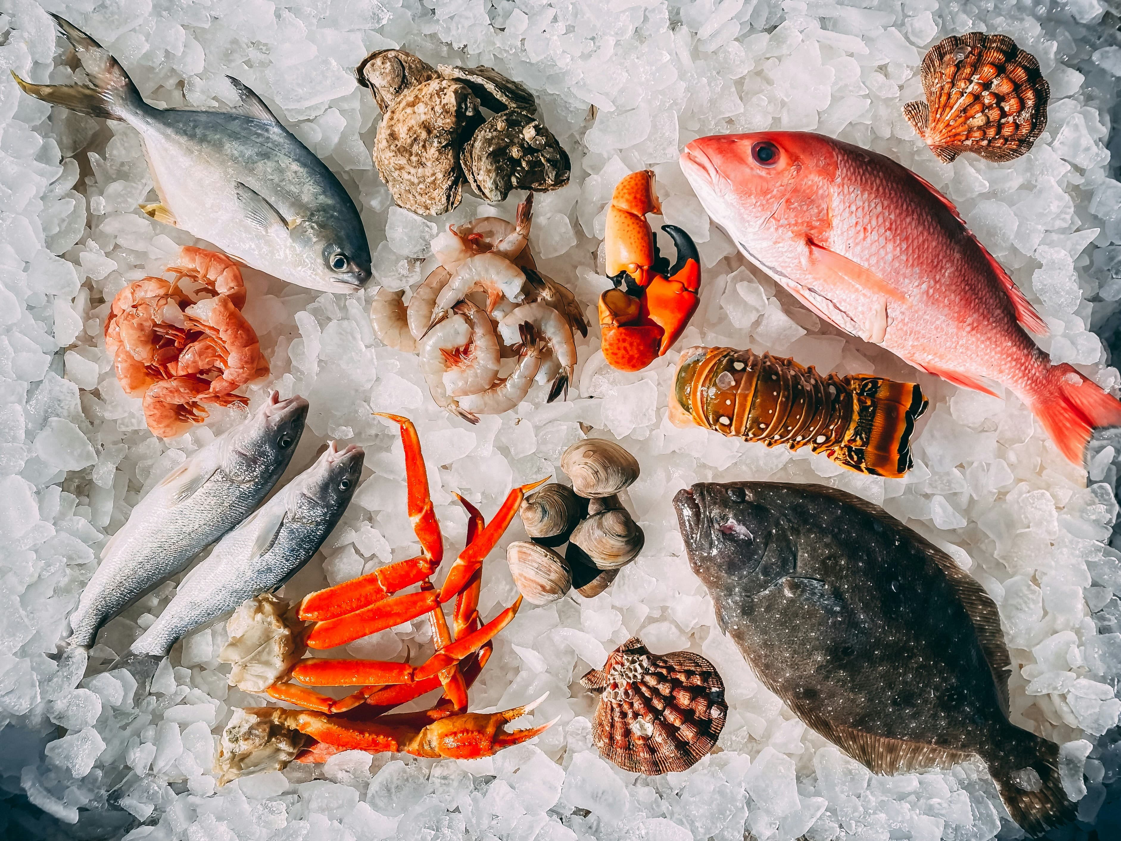 Premium Seafood Collection